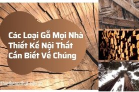 Các Loại Gỗ Mọi Nhà Thiết Kế Nội Thất Cần Biết Về Chúng