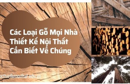 Các Loại Gỗ Mọi Nhà Thiết Kế Nội Thất Cần Biết Về Chúng