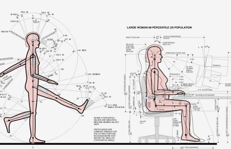 Ý Nghĩa Của Nhân Trắc Học Trong Thiết Kế Nội Thất